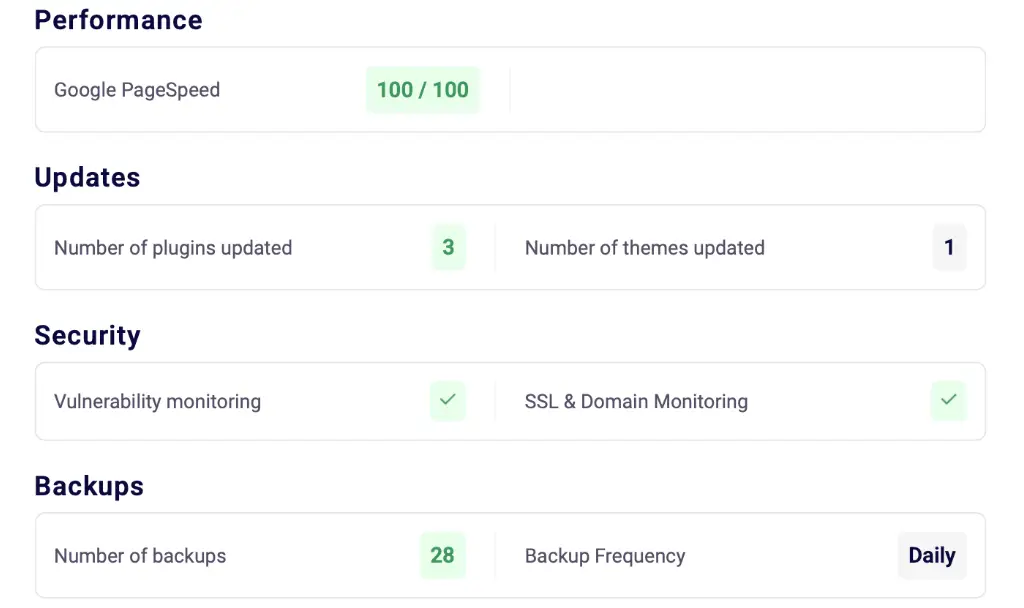 wordpress website support
